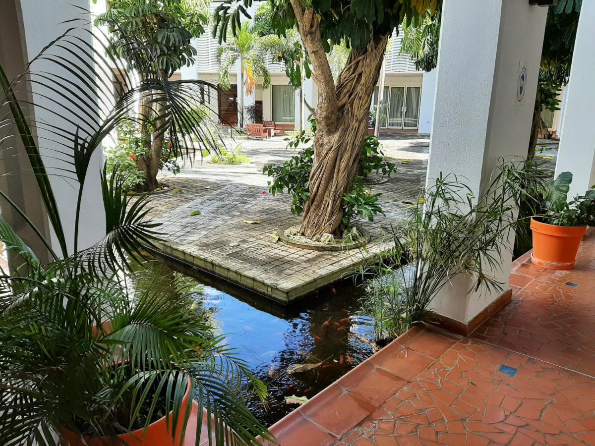 F3 _ Kaz Ananas Passion Au Manganao Apartment Saint-Francois  Ngoại thất bức ảnh
