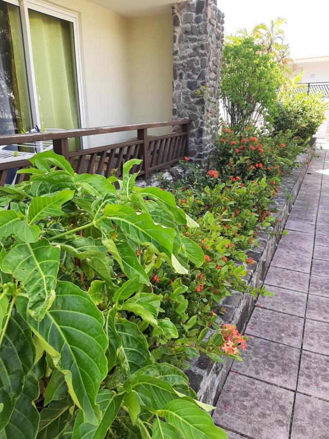 F3 _ Kaz Ananas Passion Au Manganao Apartment Saint-Francois  Ngoại thất bức ảnh